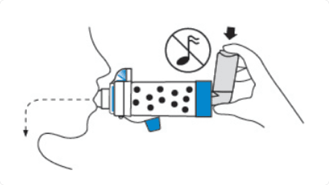 Aerochamber+ Adulte, Chambre d'inhalation GSK - IllicoPharma